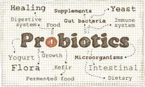 microbiote intestinal