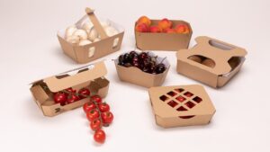 Barquettes aux fruits