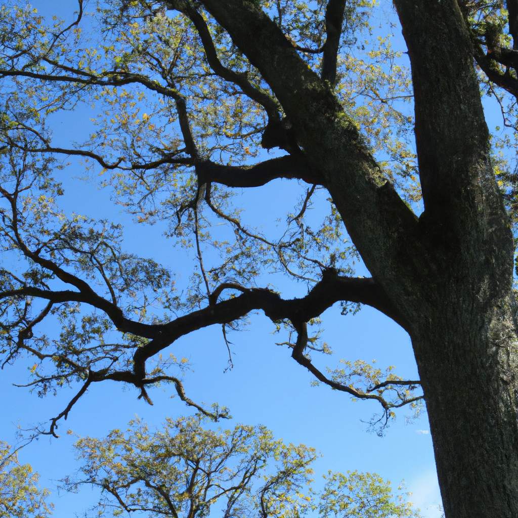 des-solutions-naturelles-pour-apaiser-les-tremblements